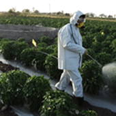 Farm-Input-service